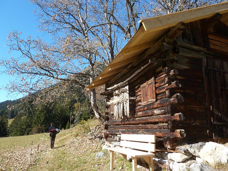 8HolzgauSchiggen5.jpg