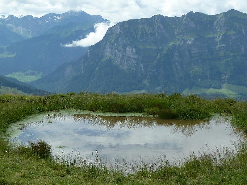 060vorarlberg2.jpg - Dit is niet de Bodensee, wel een waterplasje hogerop.