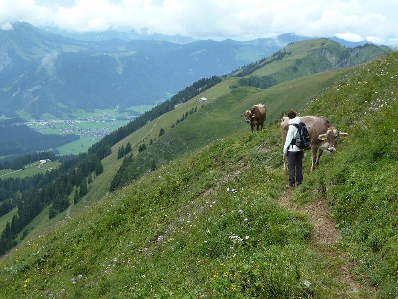 068vorarlberg11.jpg - Langs het koepad terug naar beneden.