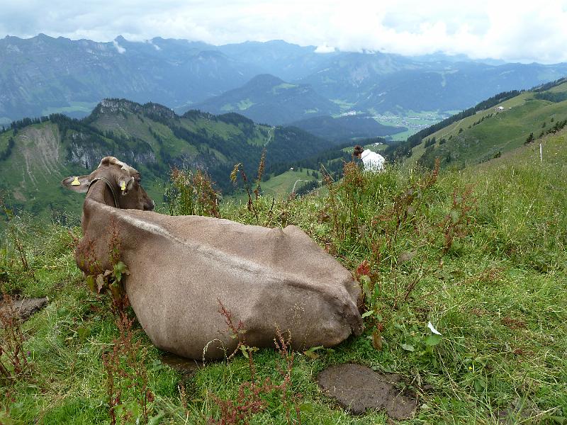 070vorarlberg13.jpg - Tot nog eens!