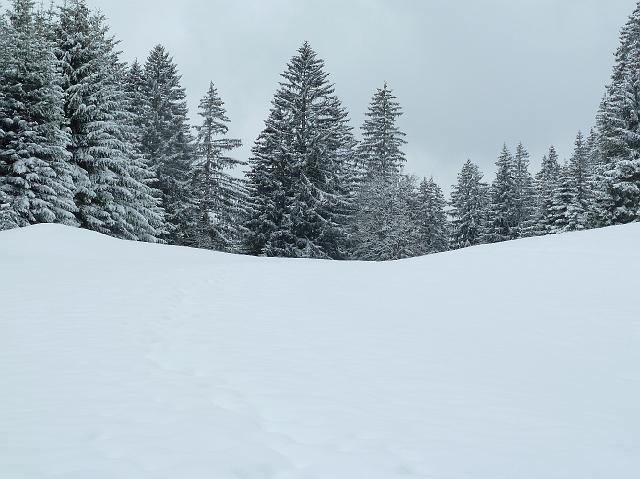 22-holzgau26.jpg