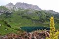 076-formarinsee-10