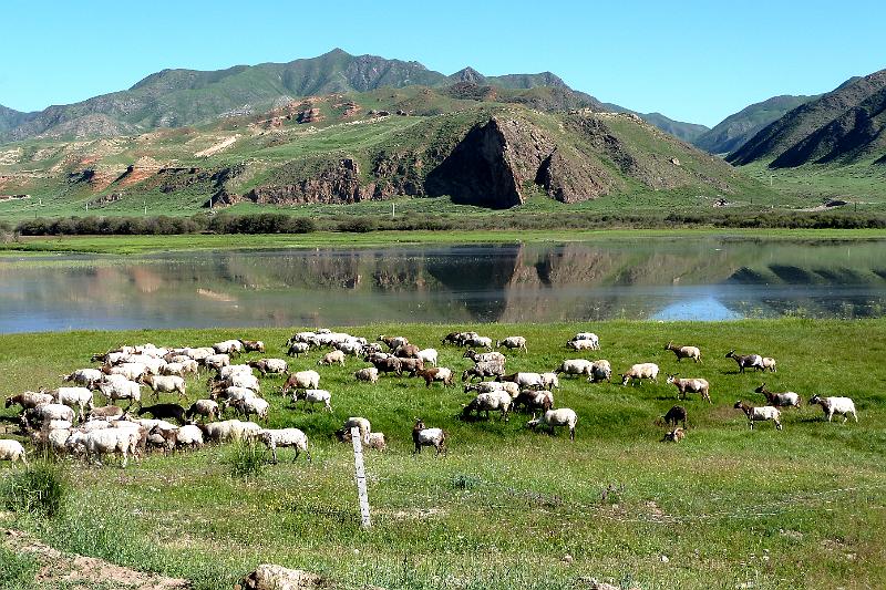 xiahe-grasslands1.jpg