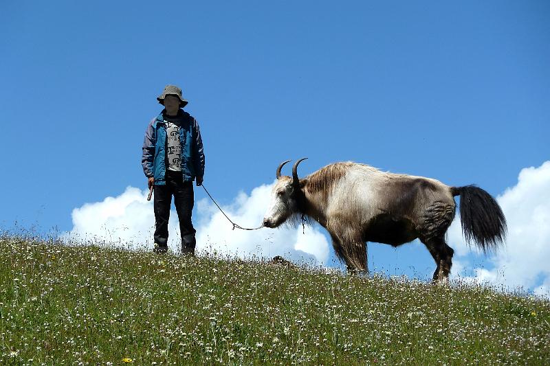 xiahe-grasslands12.jpg