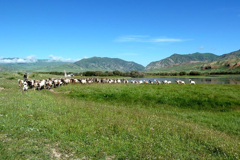 xiahe-grasslands2.jpg