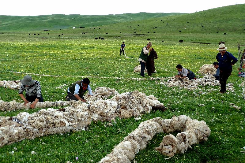 xiahe-grasslands50.jpg