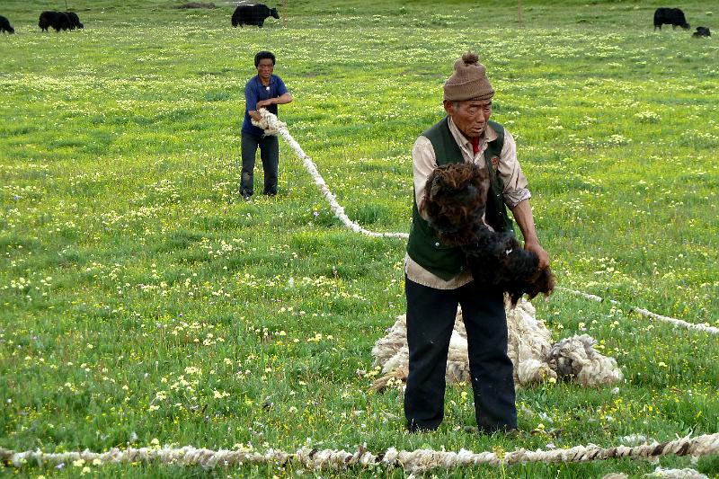 xiahe-grasslands51.jpg