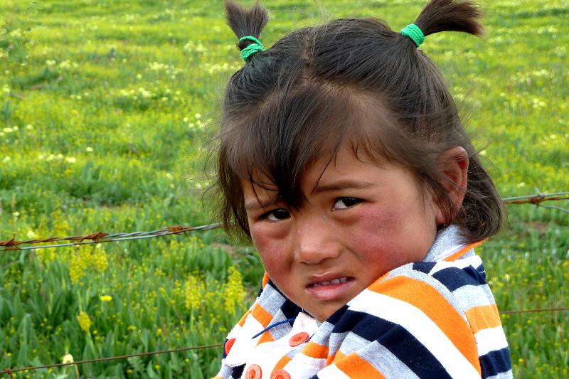 xiahe-grasslands54.jpg