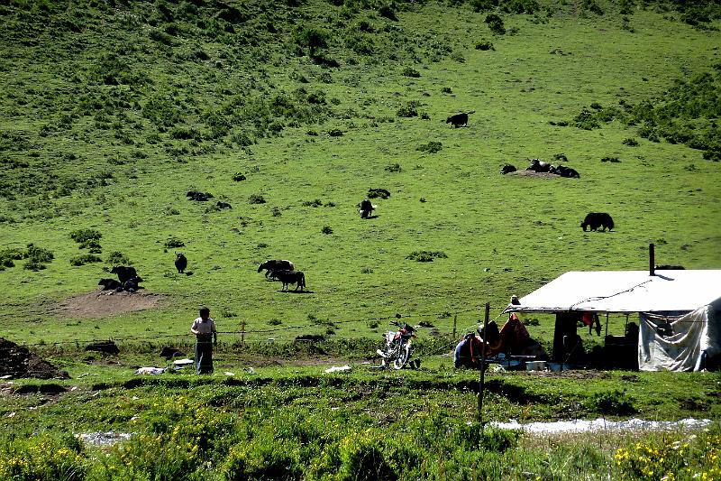 xiahe-grasslands6.jpg