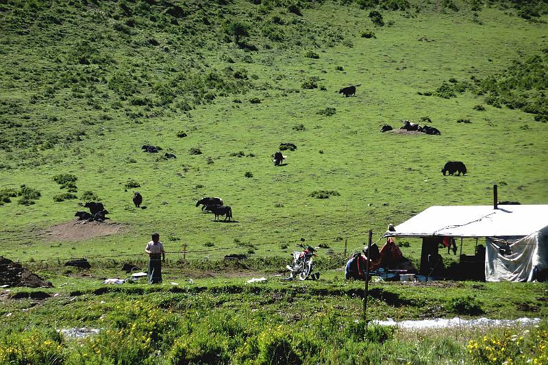 xiahe-grasslands7.jpg