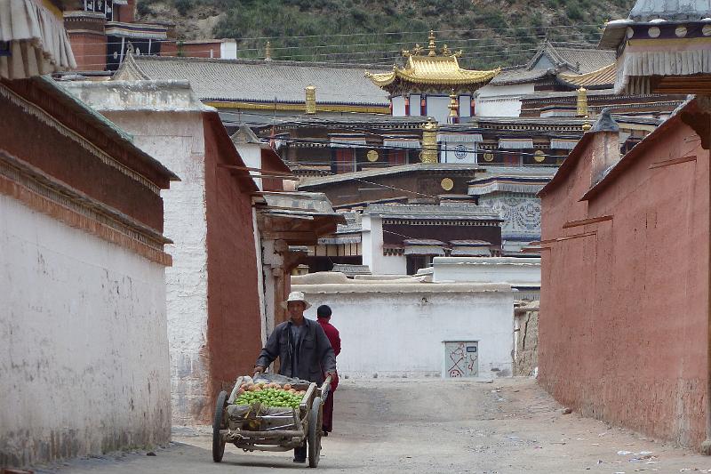 xiahe-kora23.jpg