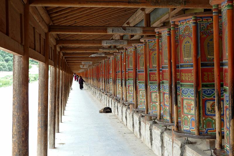 xiahe-kora3.jpg