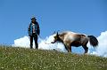 xiahe-grasslands12