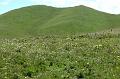 xiahe-grasslands13