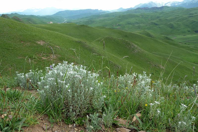 langmusi-van-Xiahe-naar-Langmusi19.jpg