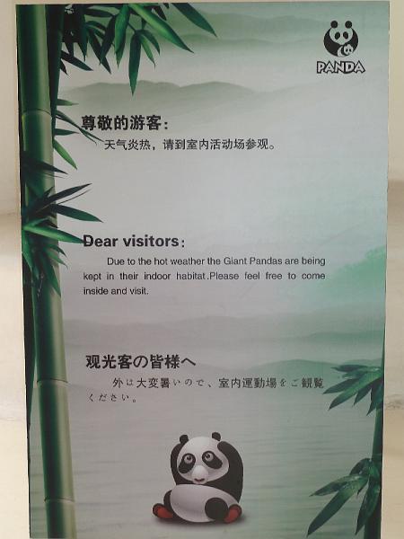 chengdu-panda23.jpg