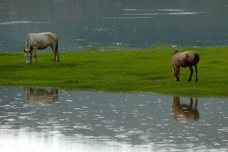 wenhai-wandeling36.jpg