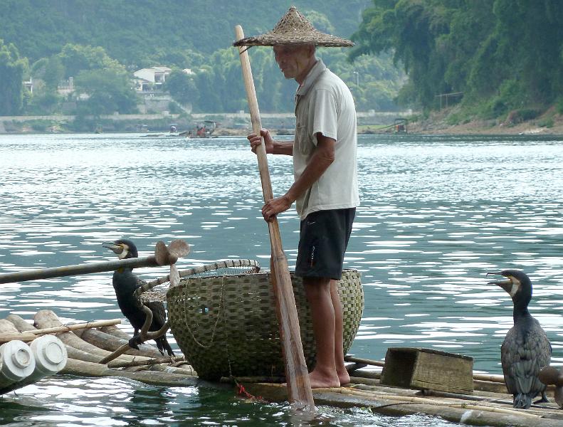 yangshuo-aalscholvers4.jpg