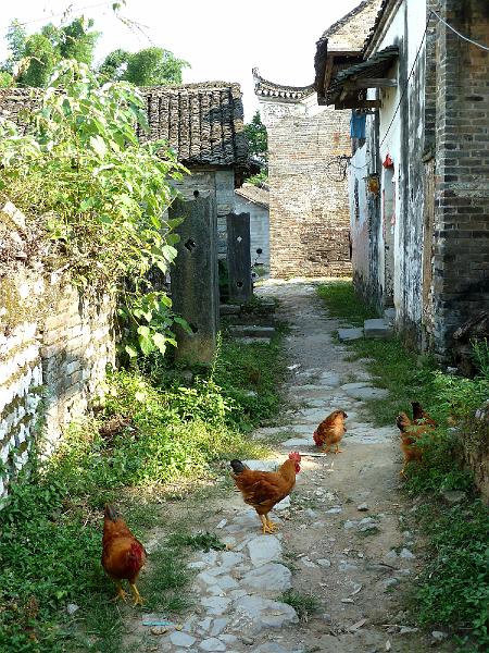 yangshuo-li-river-dorpje26.jpg