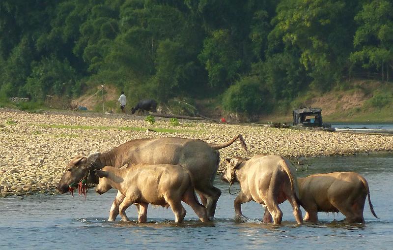 yangshuo-li-river38.jpg