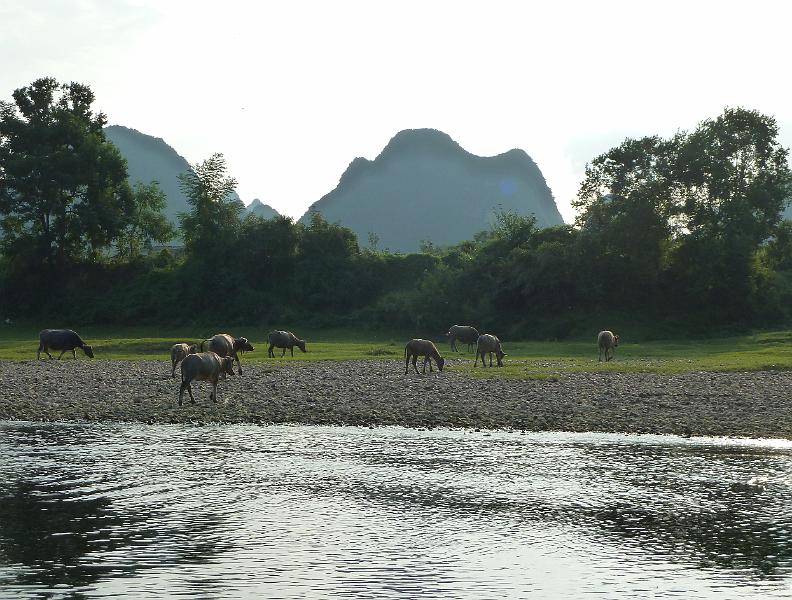 yangshuo-li-river39.jpg