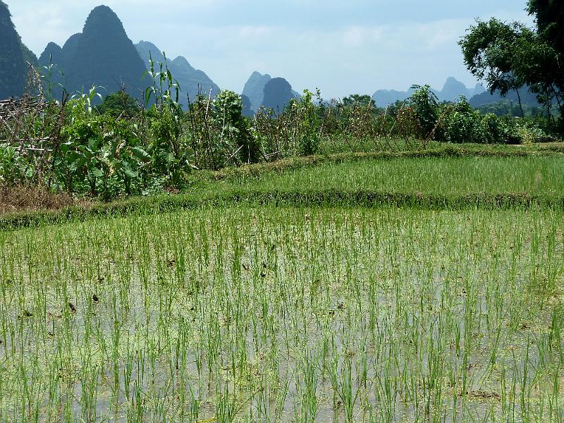 yangshuo-wandeling-yulong-river12.jpg