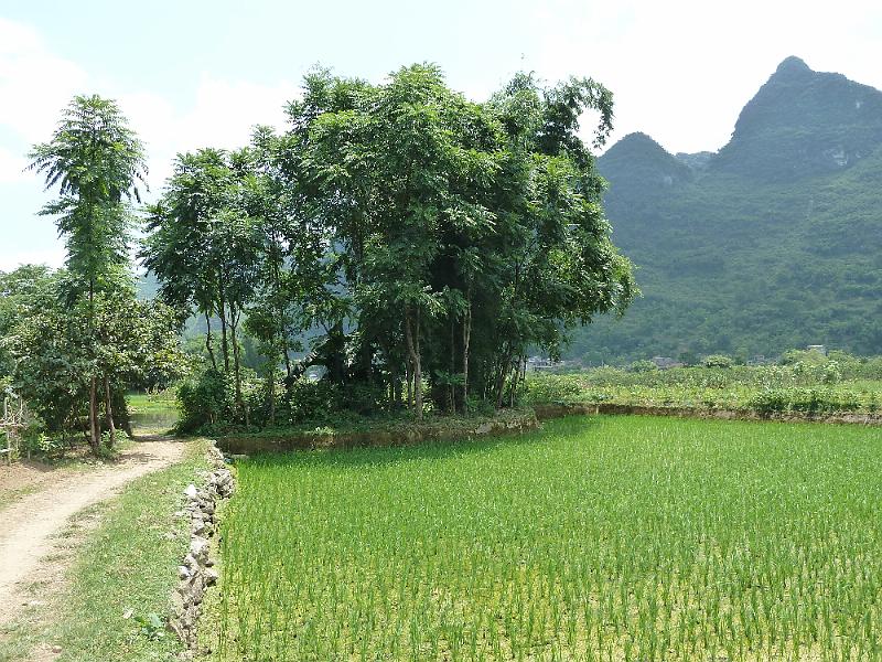 yangshuo-wandeling-yulong-river15.jpg