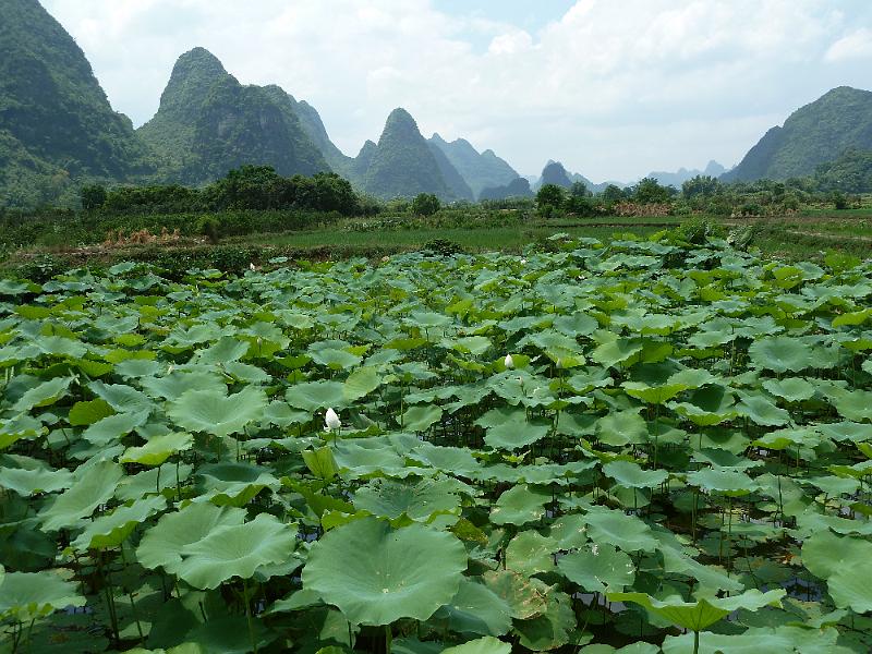 yangshuo-wandeling-yulong-river17.jpg