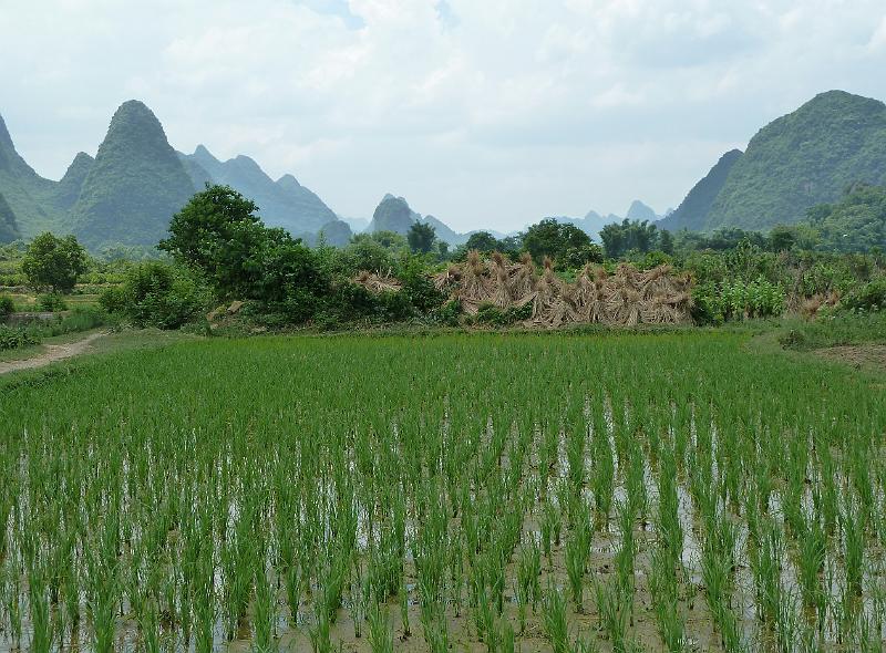 yangshuo-wandeling-yulong-river21.jpg