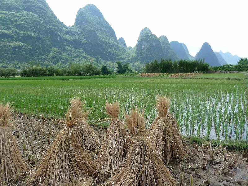 yangshuo-wandeling-yulong-river29.jpg