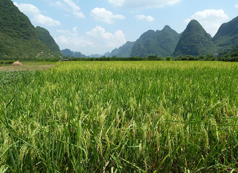 yangshuo-wandeling-yulong-river36.jpg