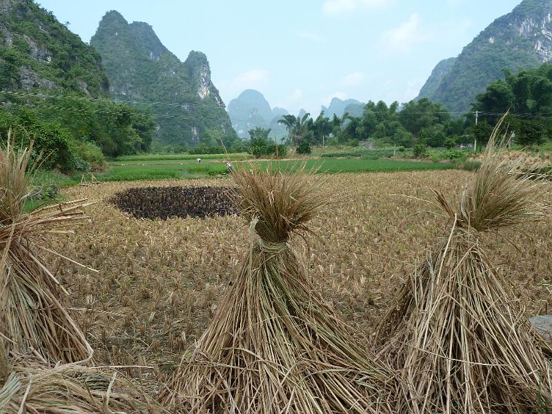 yangshuo-wandeling1.jpg