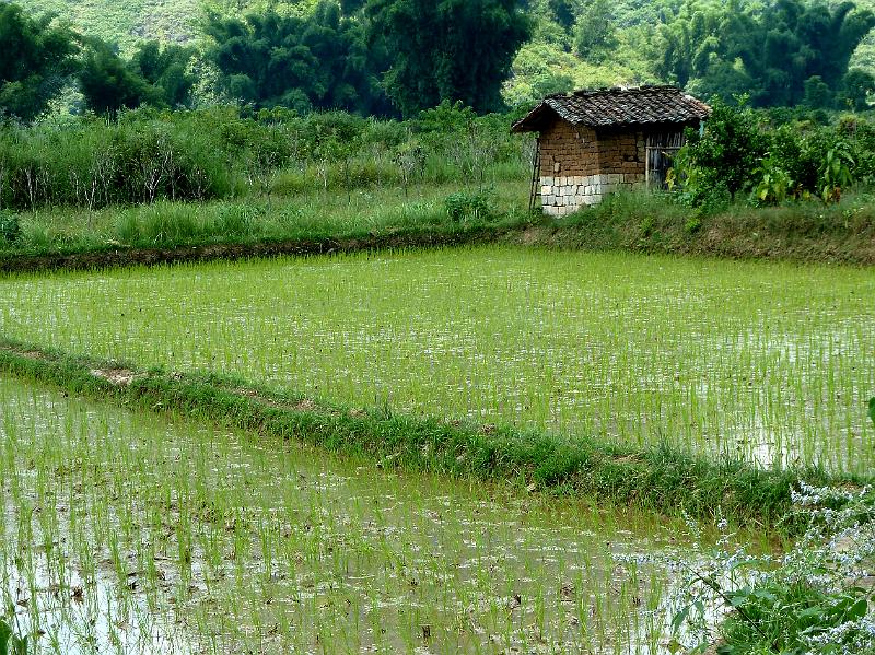 yangshuo-wandeling24.jpg