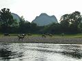 yangshuo-li-river39