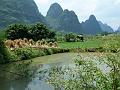 yangshuo-wandeling-yulong-river10