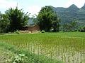 yangshuo-wandeling-yulong-river11