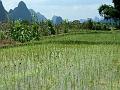 yangshuo-wandeling-yulong-river12