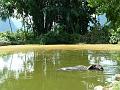 yangshuo-wandeling-yulong-river14