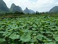 yangshuo-wandeling-yulong-river17