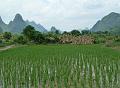 yangshuo-wandeling-yulong-river21