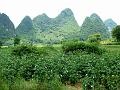 yangshuo-wandeling-yulong-river22