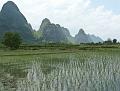 yangshuo-wandeling-yulong-river23