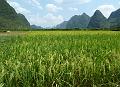 yangshuo-wandeling-yulong-river36