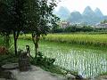 yangshuo-wandeling-yulong-river38