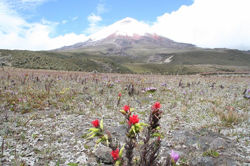 Cotopaxi_6.jpg