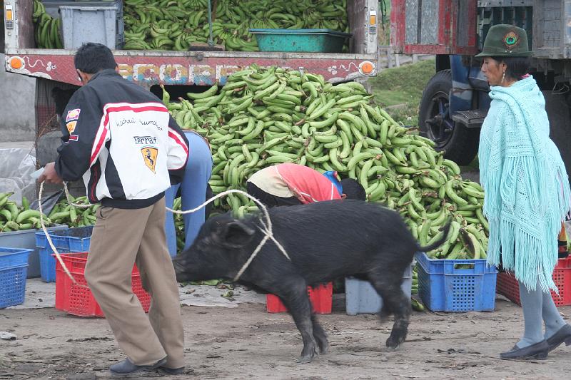 Saquisili_dierenmarkt_16.jpg