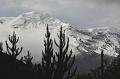 Chimborazo_5