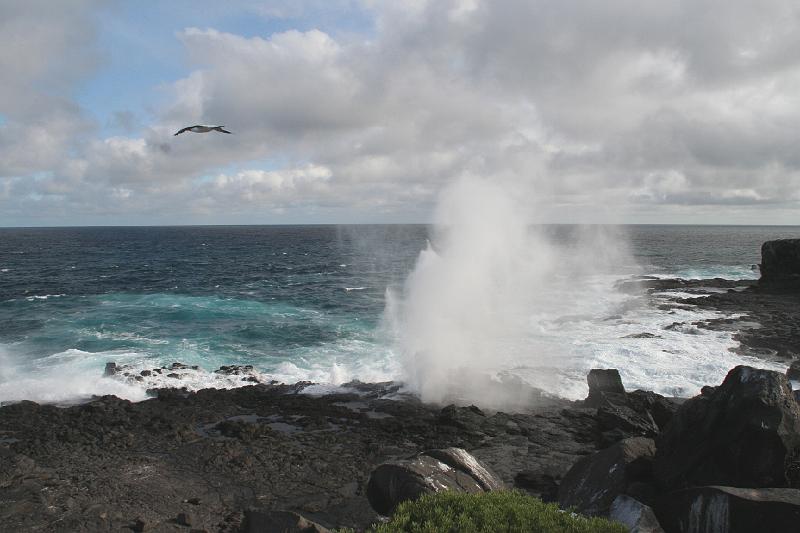 Espanola_Punta_Suarez_Lava_Holes.jpg