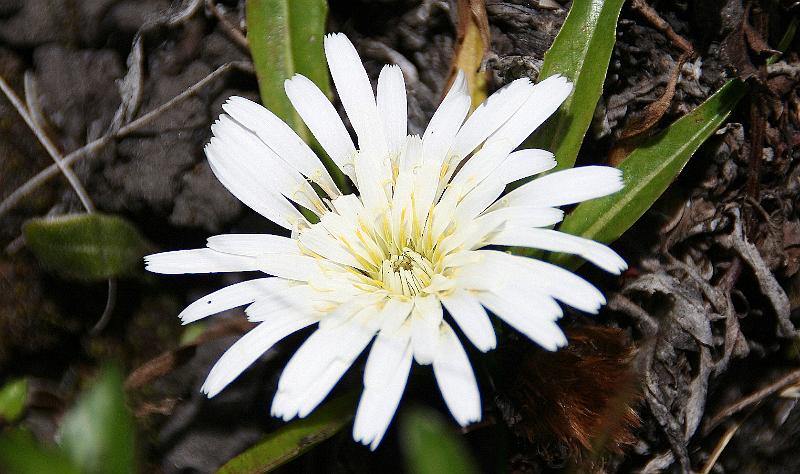 Laguna_de_Cuicocha_9.jpg