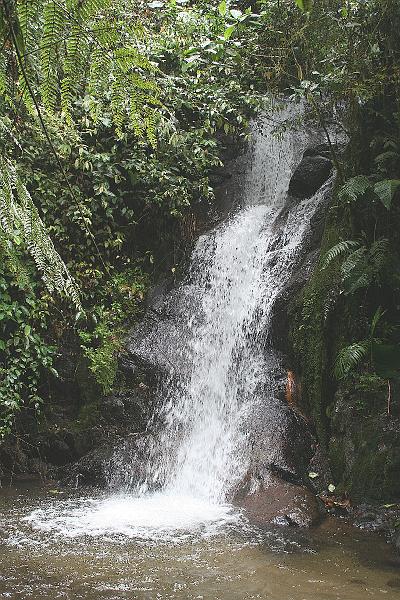 Maquipucuna-cascade.jpg